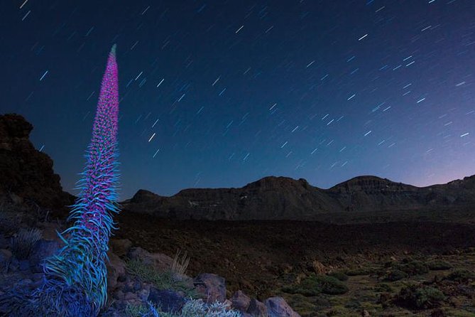 Mount Teide and night sky